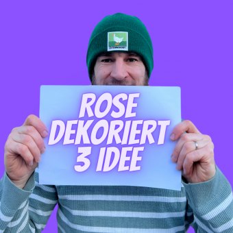 3-ideen-rosen_2.png