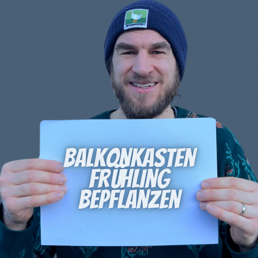 Balkonkasten-Fruehling.png