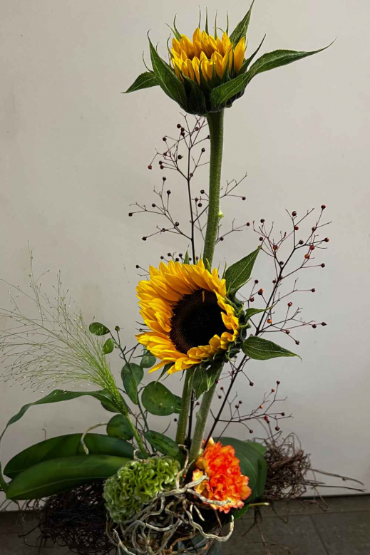 Sonnenblumenstrauss-exklusiv.jpg