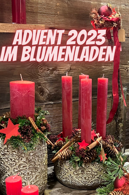 Advent-im-Blumenladen-2023-Blumwnmnn.png