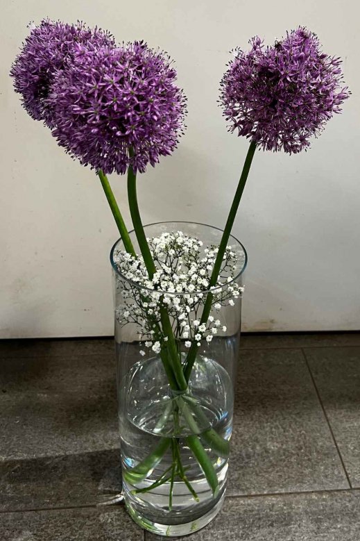 Allium-in-der-Vase.jpg