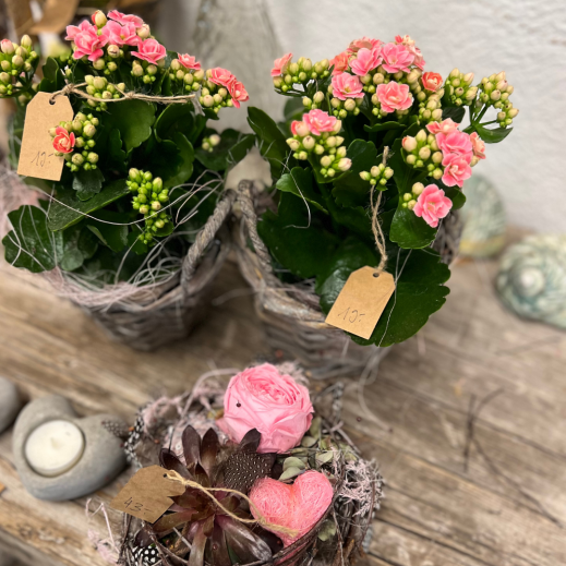 Blumen-Rosa-Muttertag.png