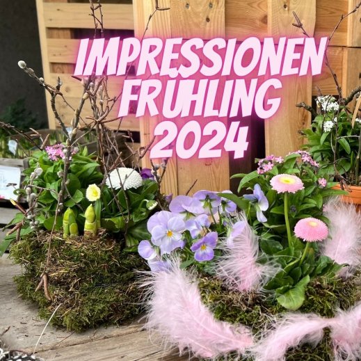 Impressionen-Fruehling-2024.jpg