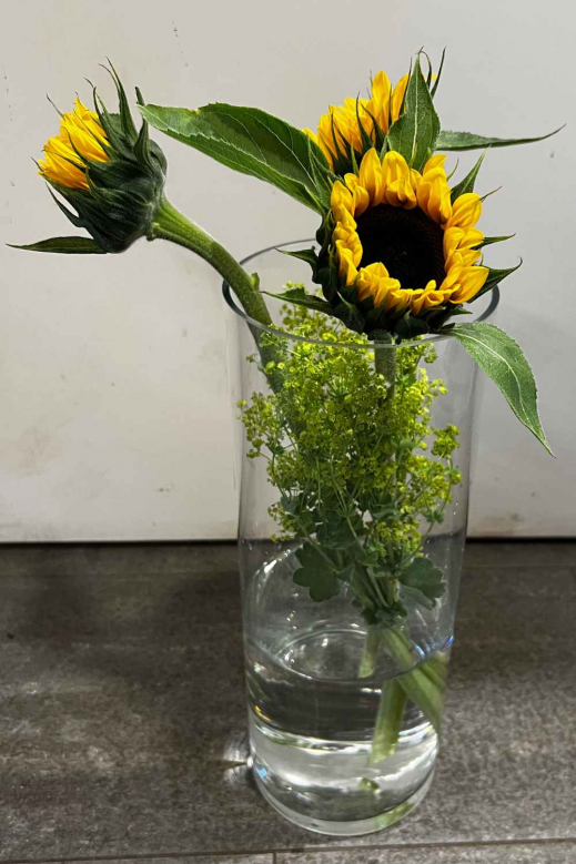 Sonnenblumen-in-der-Vase.jpg